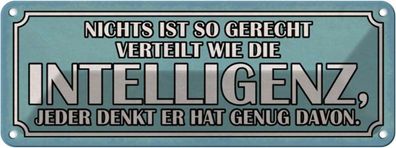 vianmo Blechschild 27x10cm Intelligenz Gerecht Verteilt Deko Geschenk