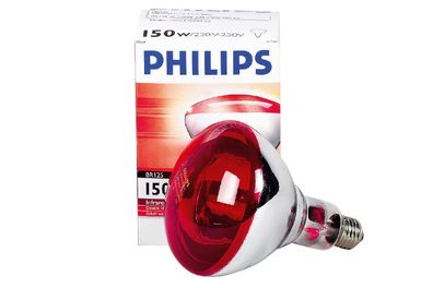 Philips Infrarotlampe für Tieraufzucht 250 Watt