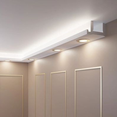 Deckenleiste LED - 2 Meter OL-54