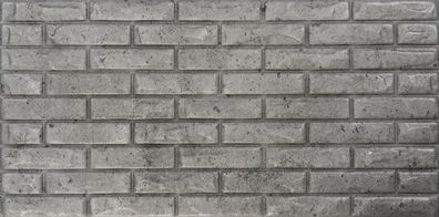 Dekorative Paneel BRICK Concrete