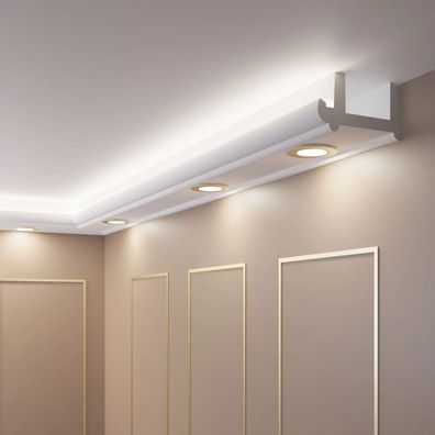 Lichtleisten LED - 4 Meter OL-56