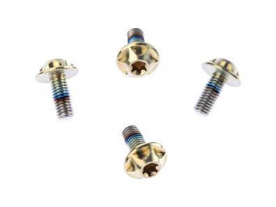 SILCA Schraube 6Al/4V Titanium, 4er Pack, M5 x 12 gold ano