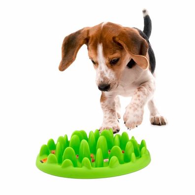 Karlie - Northmate GREEN mini - Anti-Schling Napf für kleine Hunde - grün