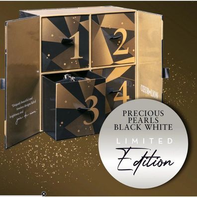 SET - Edelstahl - Adventkalender Black White