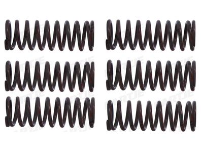 TRW Kupplungsfedernsatz Mit verstärkten Kupplungsf MEF302-6