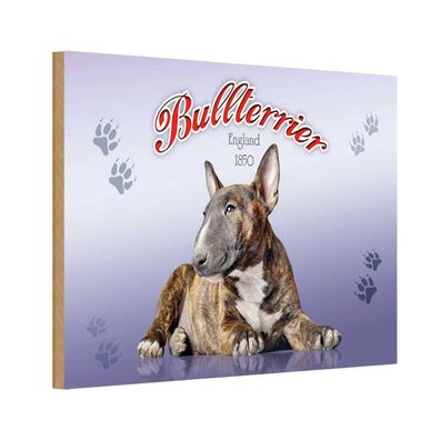 vianmo Holzschild 30x20cm Bullterrier 1850 Deko Geschenk