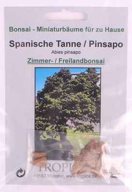 Bonsai - 10 Samen Spanische Tanne - Abies pinsapo 90125