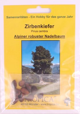 Bonsai - 10 Samen Zirbenkiefer - Pinus cembra 90128