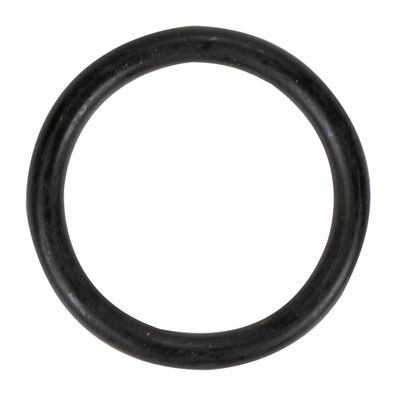 O-Ring 7792371