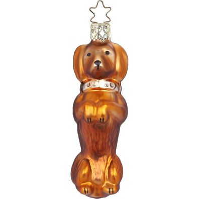 Alles für den Dackel 9.5 cm - Inge-Glas 10091S019 Haus und Hof - Christbaumschmuck G