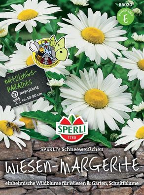 Wiesen-Margerite Schneeweißchen | ideale Pflanze für Blumenwiesen Wildrasen