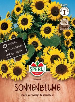 Sonnenblume Waooh, stark verzweigt, standfeste Schnittblume, ideal für Kübel,