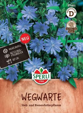 Wegwarte, Heilpflanze und Bienenfutterpflanze, mehrjährig, Nützlingsfreundlich