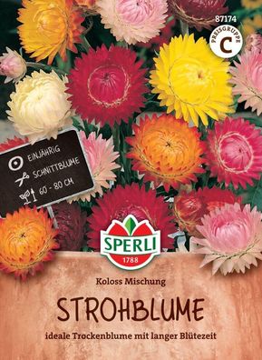 Strohblume Koloss Mischung, Ideale Trockenblume mit langer Blütezeit,