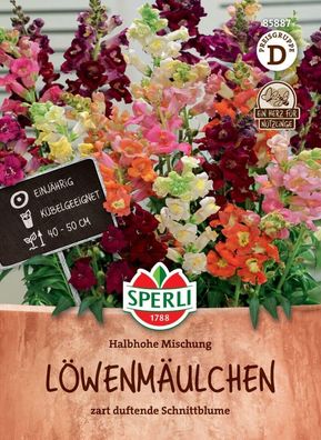 Löwenmäulchen Halbhohe Mischung, Nektarspender, kübelgeeignete Schnittblume,