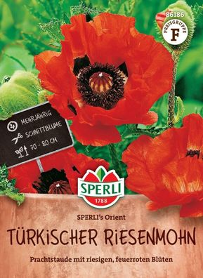 Türkischer Riesenmohn SPERLI's Orient, mehrjährige Schnittblume, Staude,