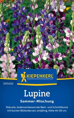 Lupine Sommer Mischung, robust - bodenverbessernde Beet- u Schnittblume