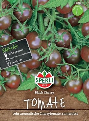 Tomate Black Cherry, dunkelrote Liebhabersorte mit sehr aromatischem