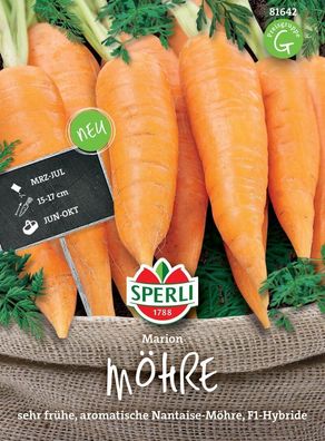 Möhre Marion F1, frühe Nantaise-Möhre, entwickeln einen saftigen aromatischen