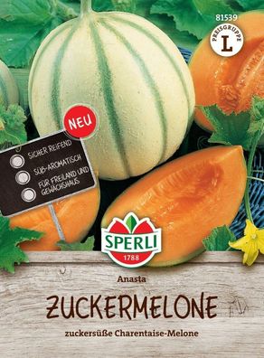 Zuckermelone Anasta F1, zuckersüße Charentaise-Melone, sicher reifend,