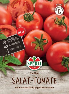 Salattomate Paoline F1, ertragreiche Sorte, widerstandsfähig (zahlreiche