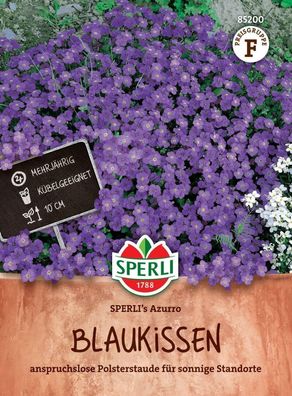 Blaukissen SPERLI's Azurro, anspruchslose Polsterstaude für sonnige