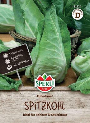 Spitzkohl / Weißkohl Filderkraut, bewährte Sorte, lagerfähig, Saatgut von Sperli