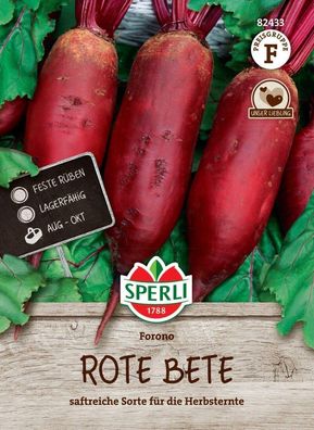 Rote Bete Forono, saftreich Sorte für die Herbsternte, feste lagerfähige