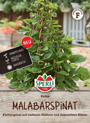 Malabarspinat Rubra, Kletterspinat mit essbaren Blättern, dekorative