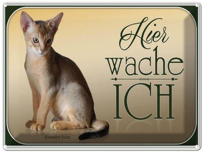 vianmo Blechschild 40x30cm Katze Abessinier Hier Wache Ich Deko Geschenk