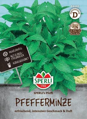 Pfefferminze SPERLI's Pfeffi, mehrjährig, Nützlingsfreundlich, kübelgeeignet,