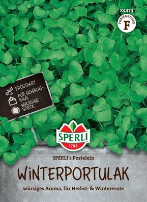 Winterportulak SPERLI's Postelein, frosthart, Freiland & Gewächshaus,