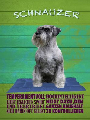 vianmo Holzschild 30x40cm Schnauzer Hund Temperamentvoll Deko Geschenk