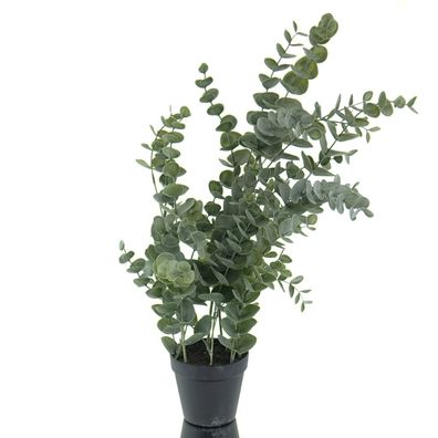 GASPER Eucalyptus Grau-Grün im schwarzen Kunststofftopf 67 cm - Kunstpflanzen