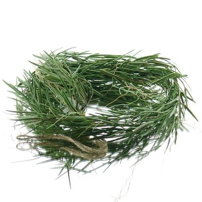 GASPER Pflanzenranke Hoya linearis Grün - Kunstpflanzen