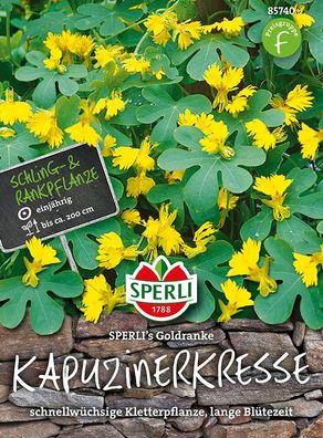 Sperli Kanarische Kapuzinerkresse SPERLI´s Goldranke - Blumensamen