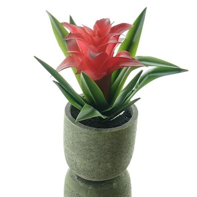 GASPER Bromelie - Guzmania Rot im grauen Zementtopf 17 cm - Kunstblumen