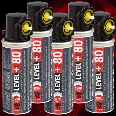 5Stk. Gaskartusche 80 mm für Stiftnagler gasbetriebene Setzgeräte PROFI RM80