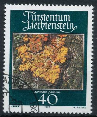 Liechtenstein 1981 Nr 776 gestempelt S4F7F0E