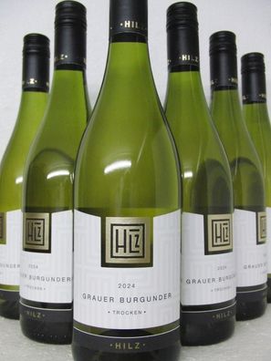 6 FL 2024 Grauburgunder trocken Weingut Klaus Hilz Dirmstein Pfalz - neuer Jahrgang