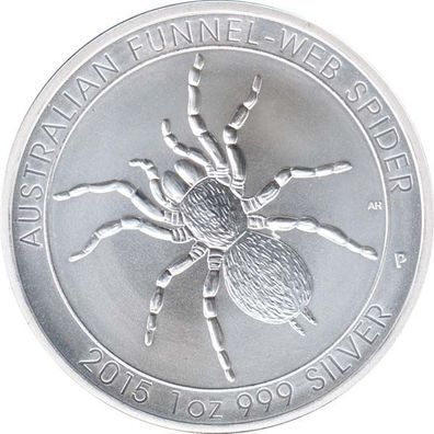 Australien 2015 Trichternetzspinne*