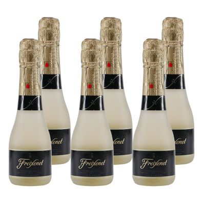 Freixenet Carta Nevada Secco Dry (24 x 0,2L)