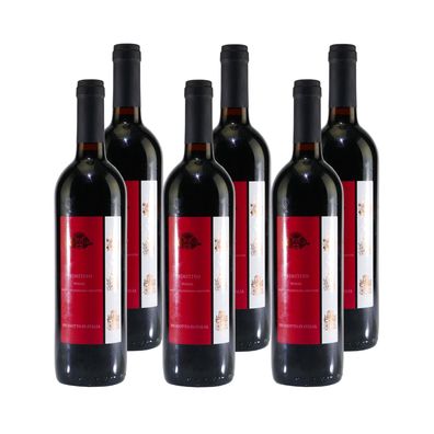 Primitivo Puglia IGP Rotwein (6 x 0,75L)