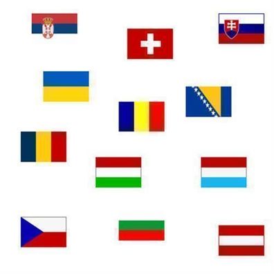 Flagge 50 x 75 cm Schweiz, DVCH50