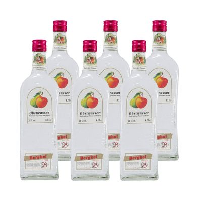 Berghof Obstwasser (6 x 0,7L)