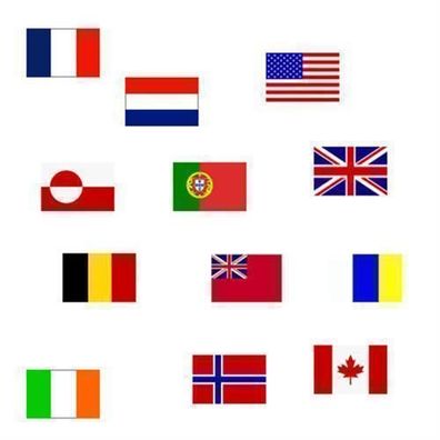 Flagge 30 x 45 cm Schottland, DVSCO30