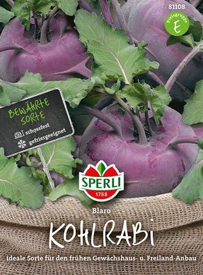 Sperli Kohlrabi Blaro blau - Gemüsesamen