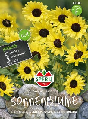 Sperli Sonnenblumen Soluna Lemon - Blumensamen