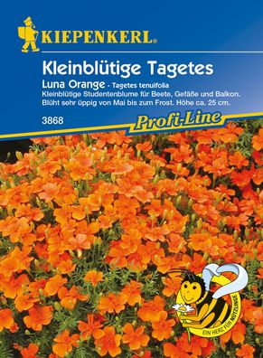 KIEPENKERL® Kleinblütige Studentenblumen Tagetes Luna Orange - Blumensamen