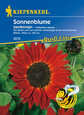 KIEPENKERL® Sonnenblumen Samtkönigin - Blumensamen